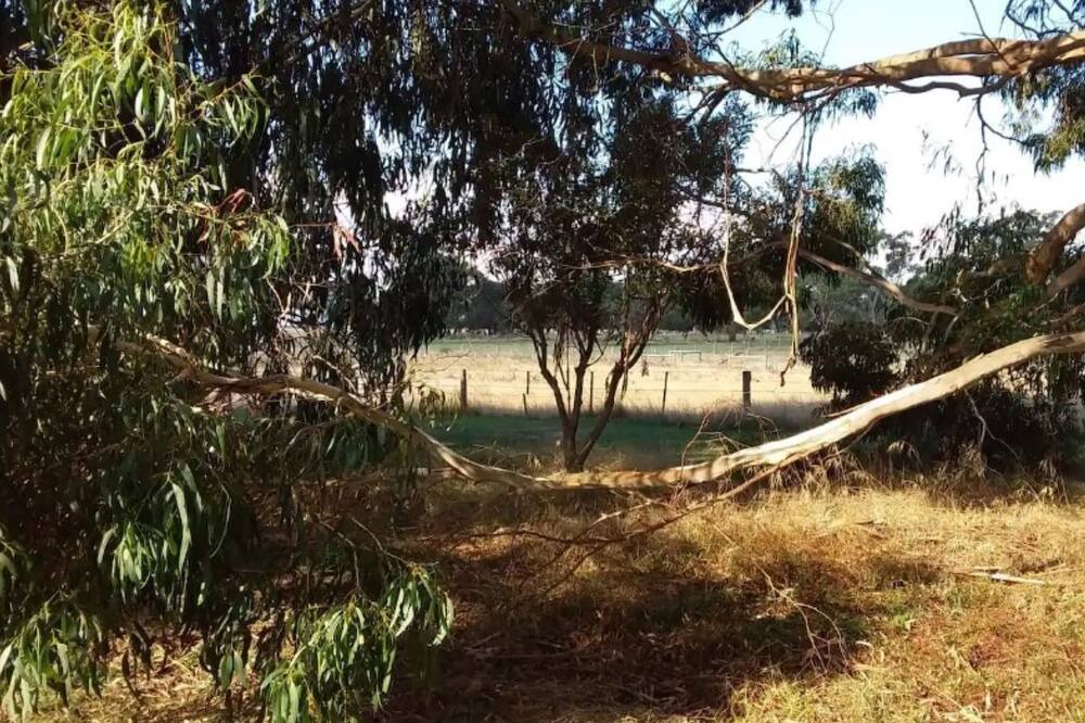 Photo of Outdoor in Woodend North