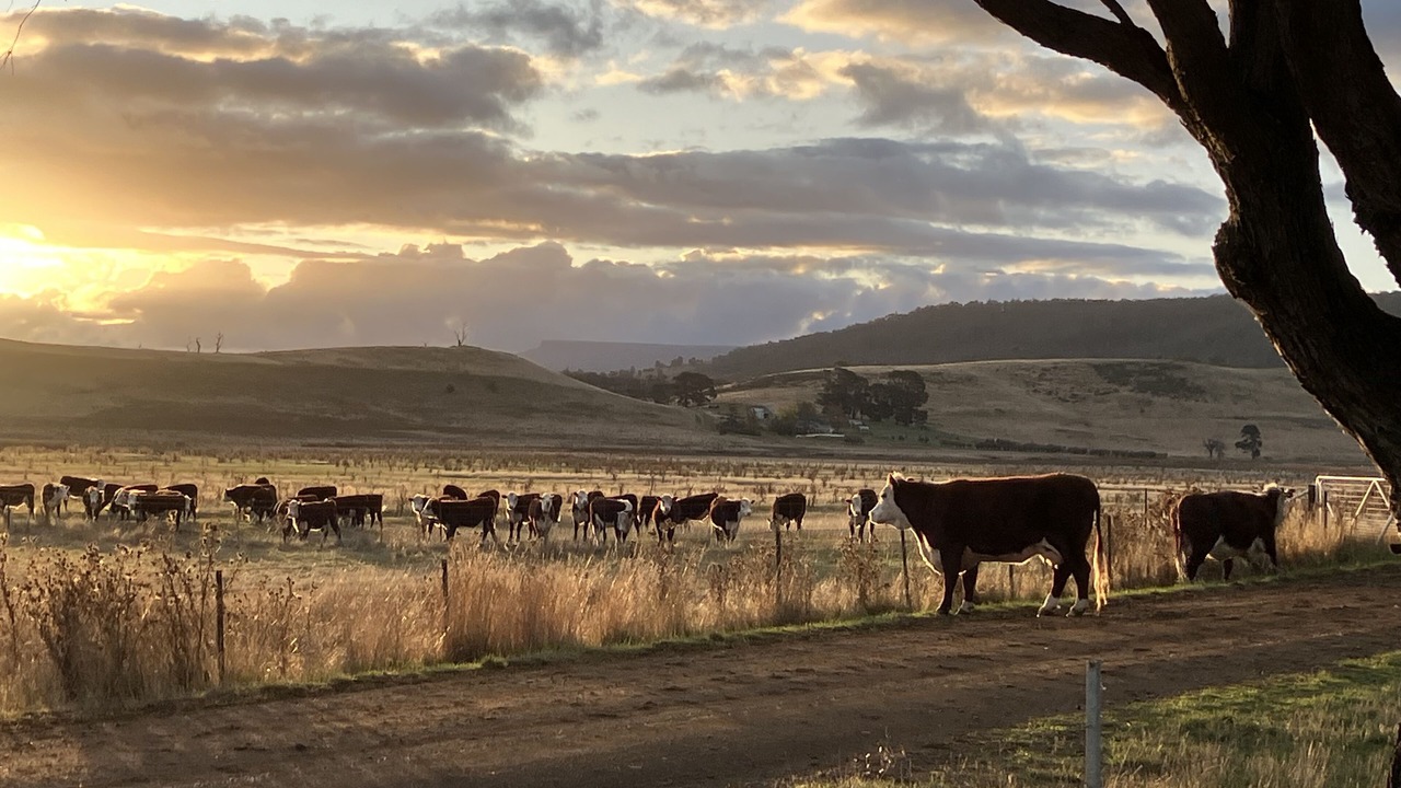 Photo of Outdoor in Oatlands