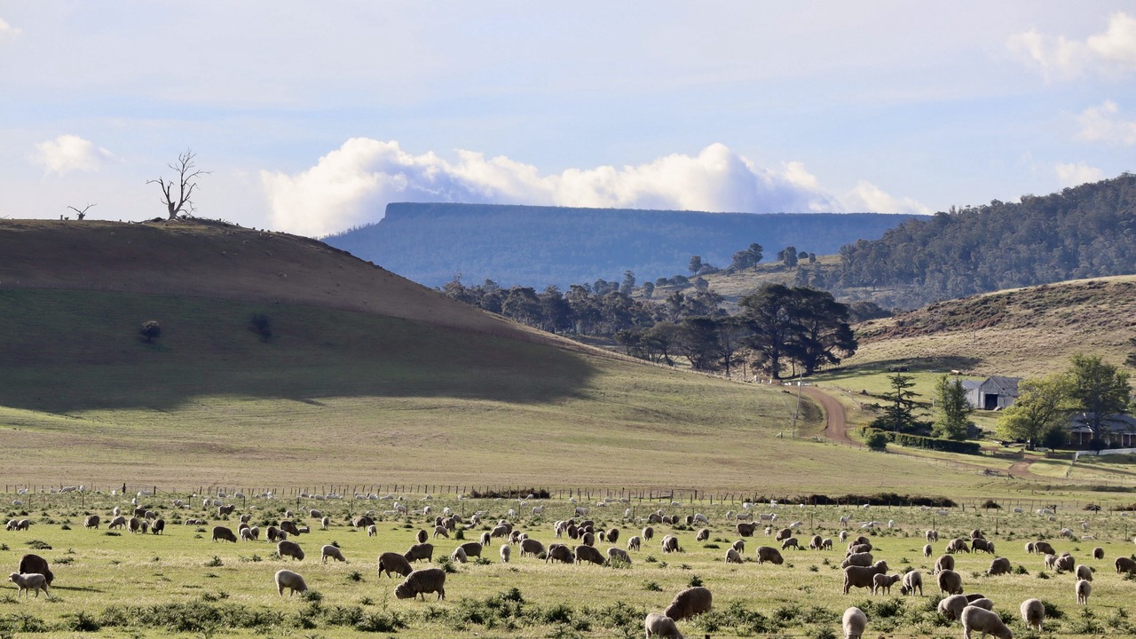 Photo of Outdoor in Oatlands