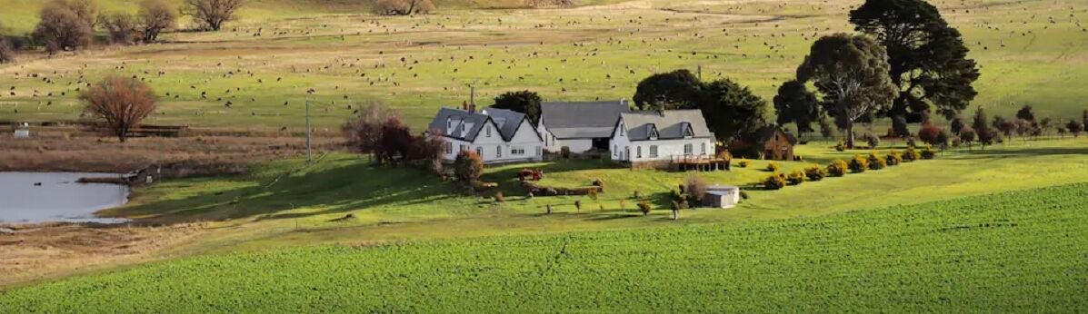Photo of Others in Oatlands
