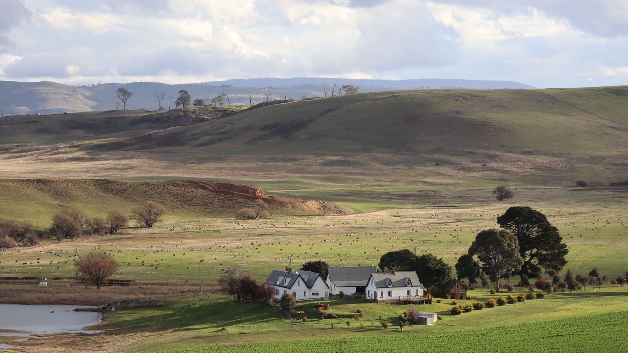 Photo of Others in Oatlands