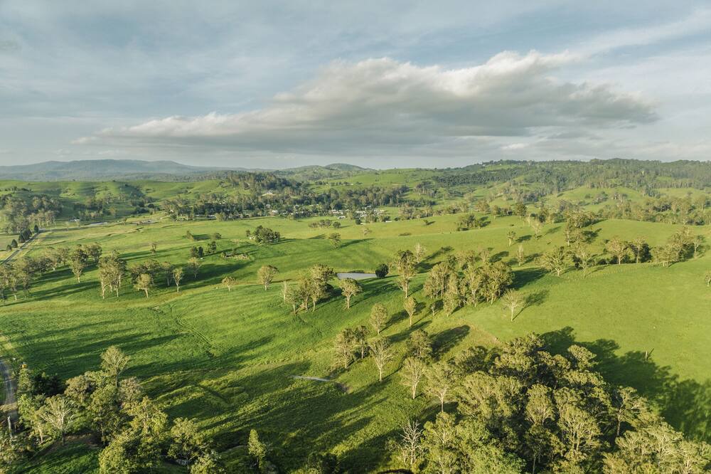 Photo of Others in Mallanganee