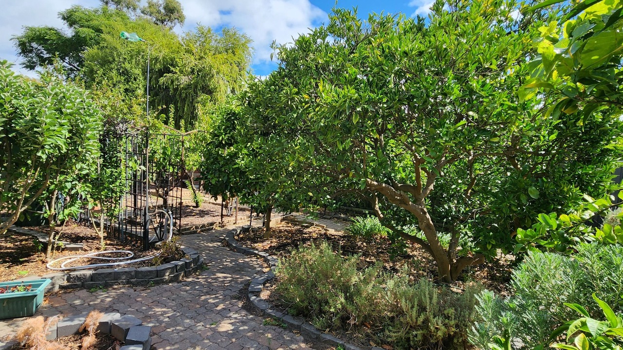 Photo of Outdoor in Modbury