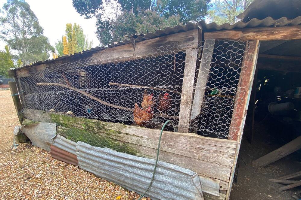 Photo of Outdoor in Molong