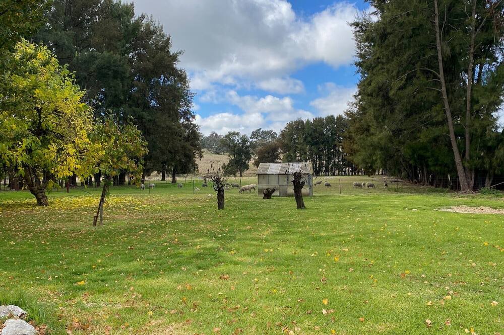 Photo of Others in Molong
