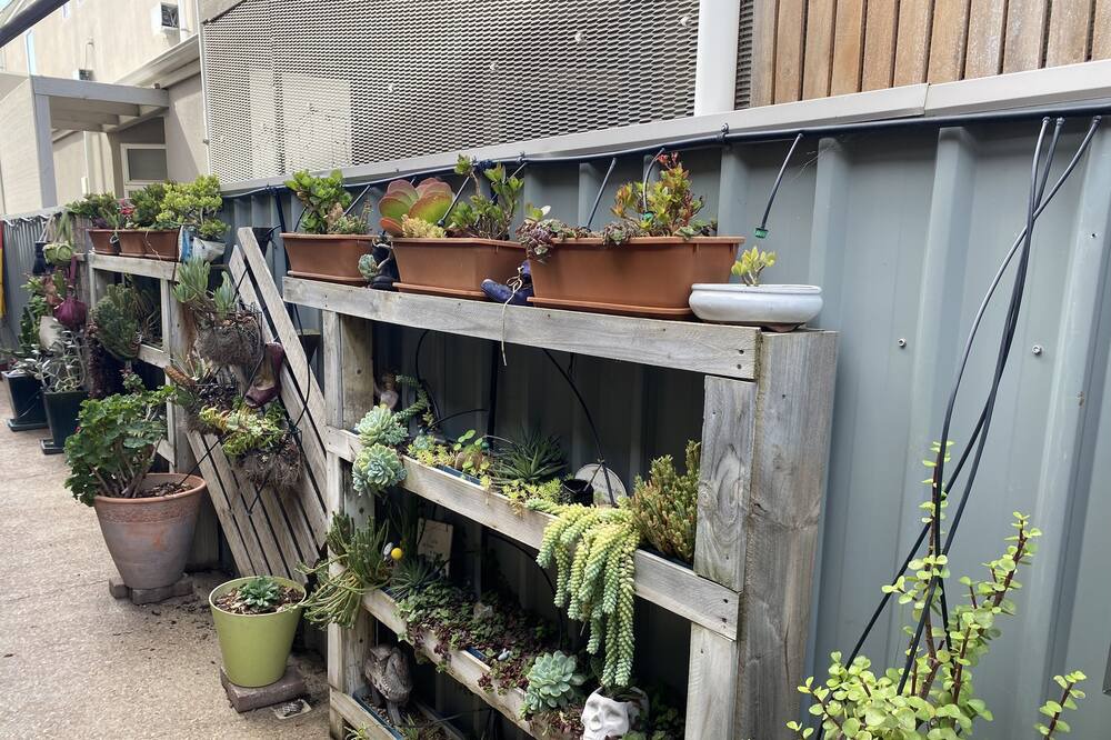 Photo of Outdoor in Henley Beach South