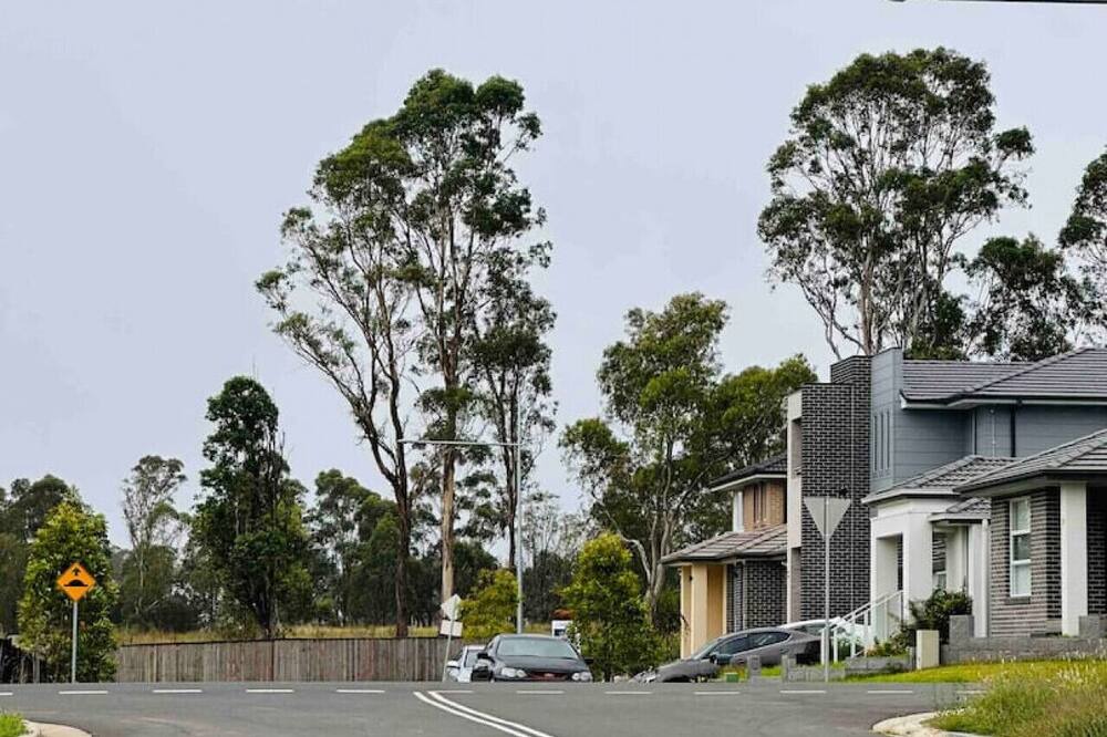 Photo of Others in Leppington