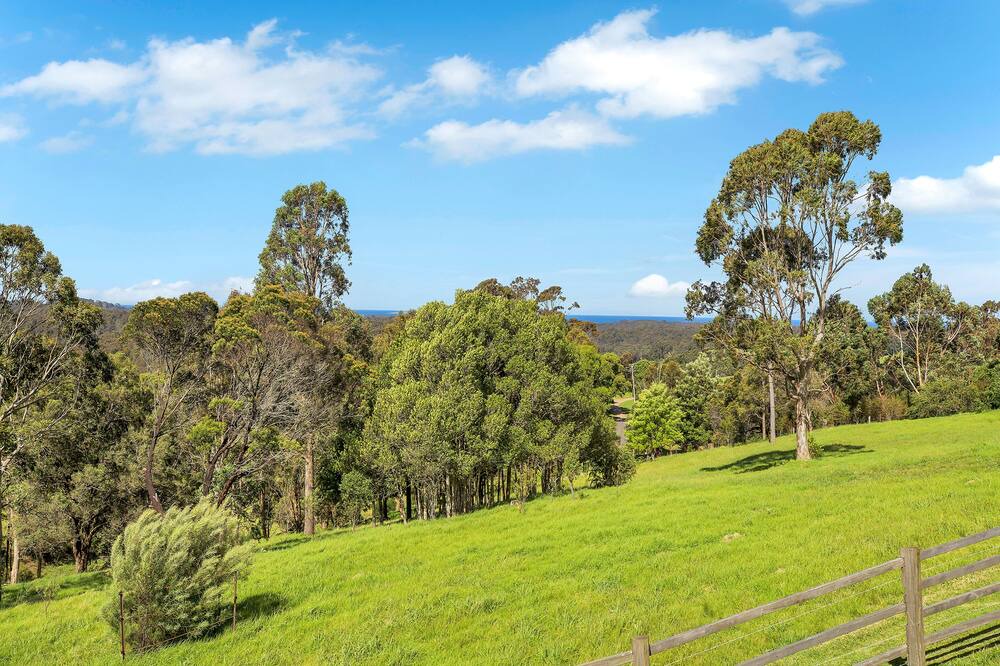 Photo of Outdoor in Central Tilba