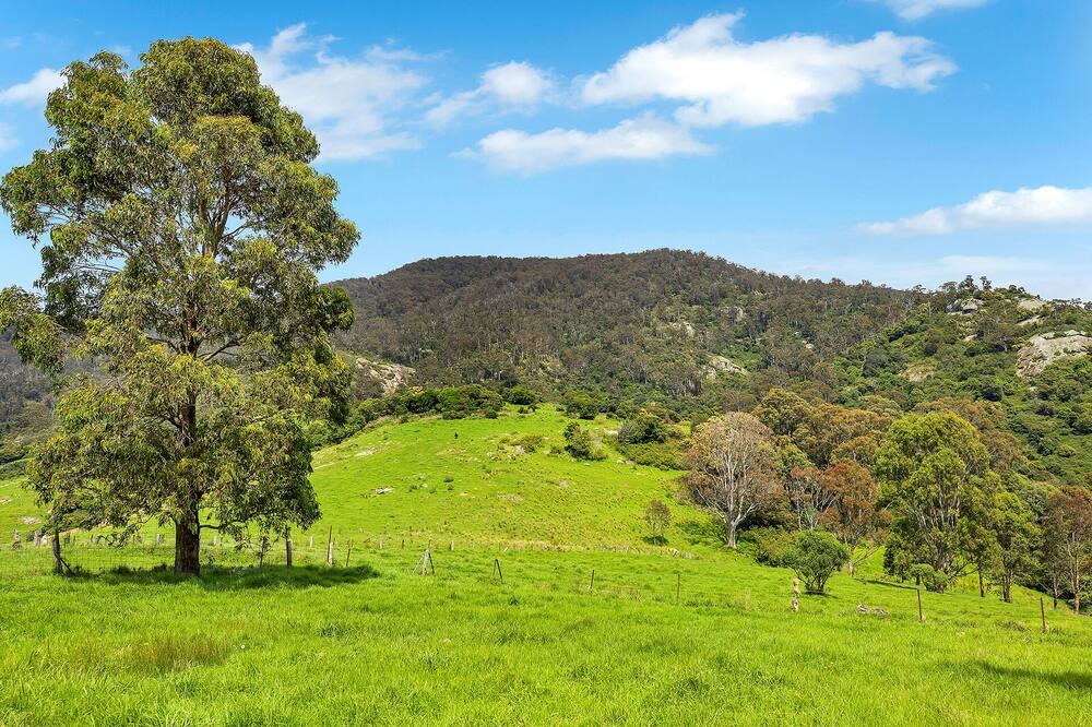 Photo of Outdoor in Central Tilba