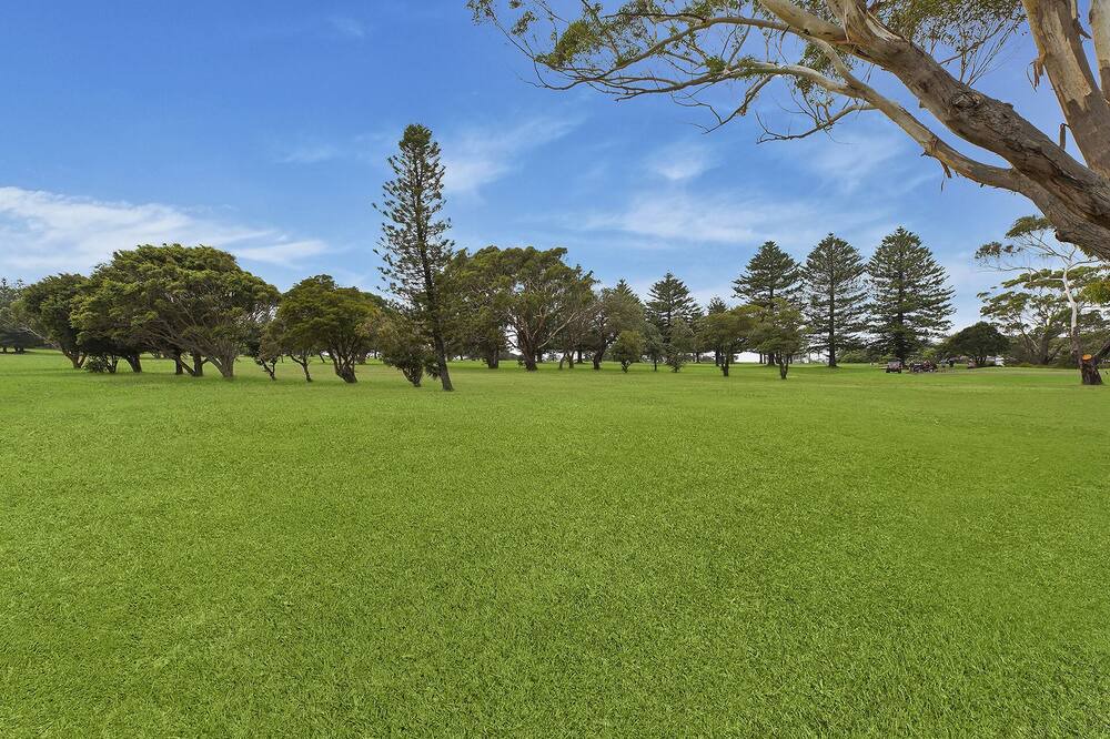 Photo of Others in Shelly Beach
