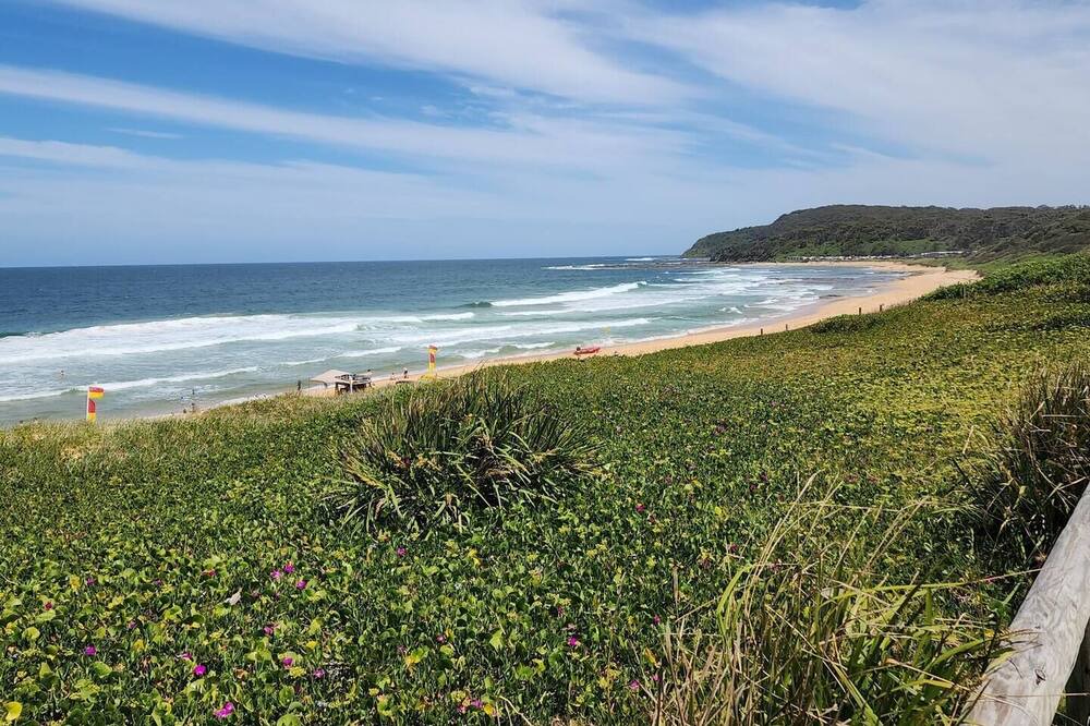 Photo of Others in Shelly Beach