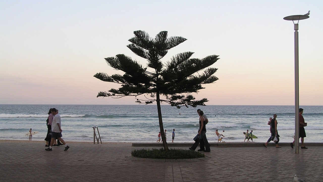 Photo of Others in Manly
