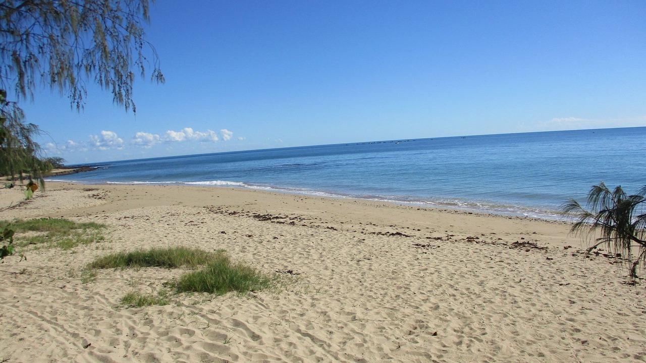Photo of Others in Point Vernon