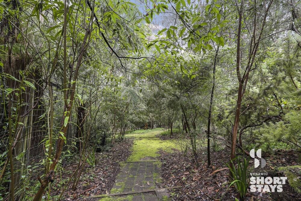 Photo of Outdoor in Olinda