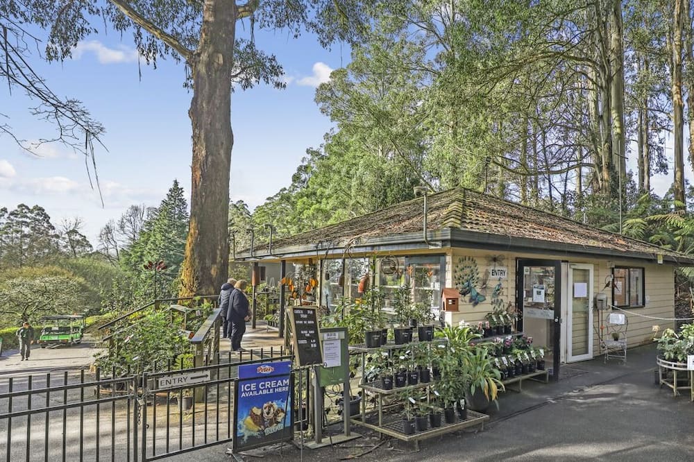 Photo of Outdoor in Olinda
