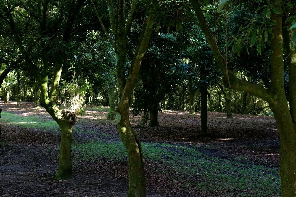 Photo of Outdoor in Valla