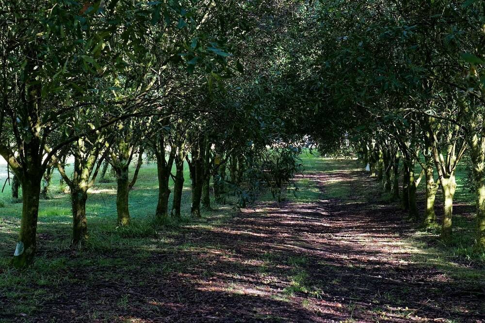 Photo of Outdoor in Valla