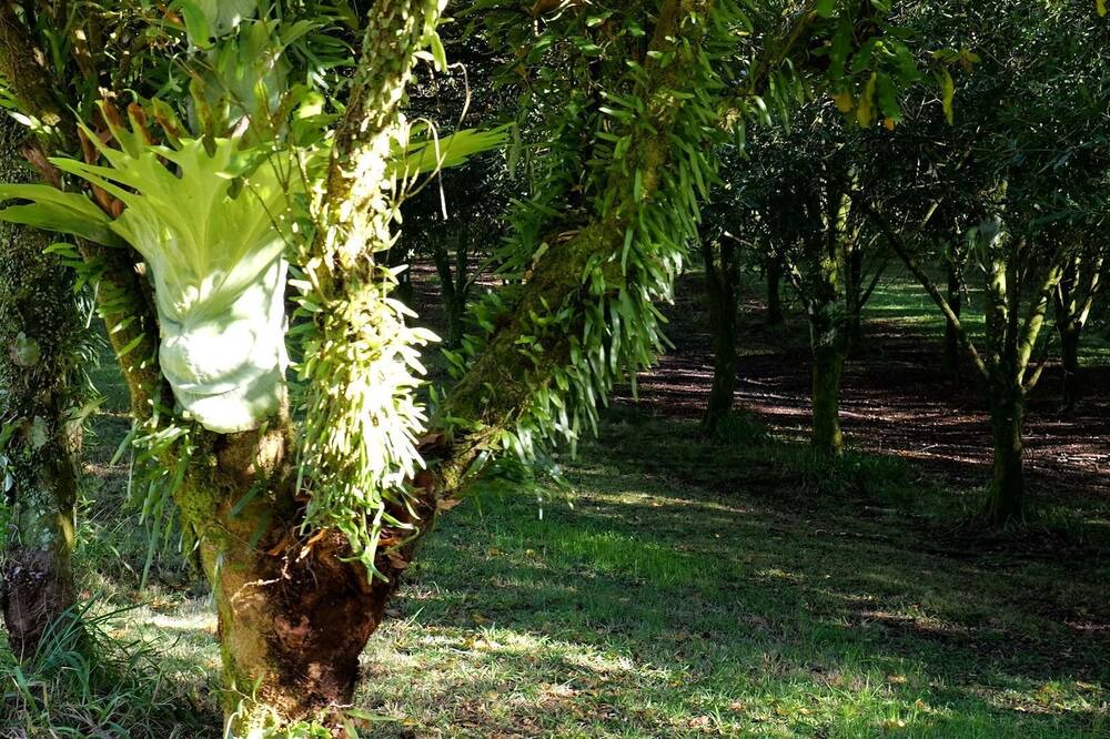 Photo of Outdoor in Valla