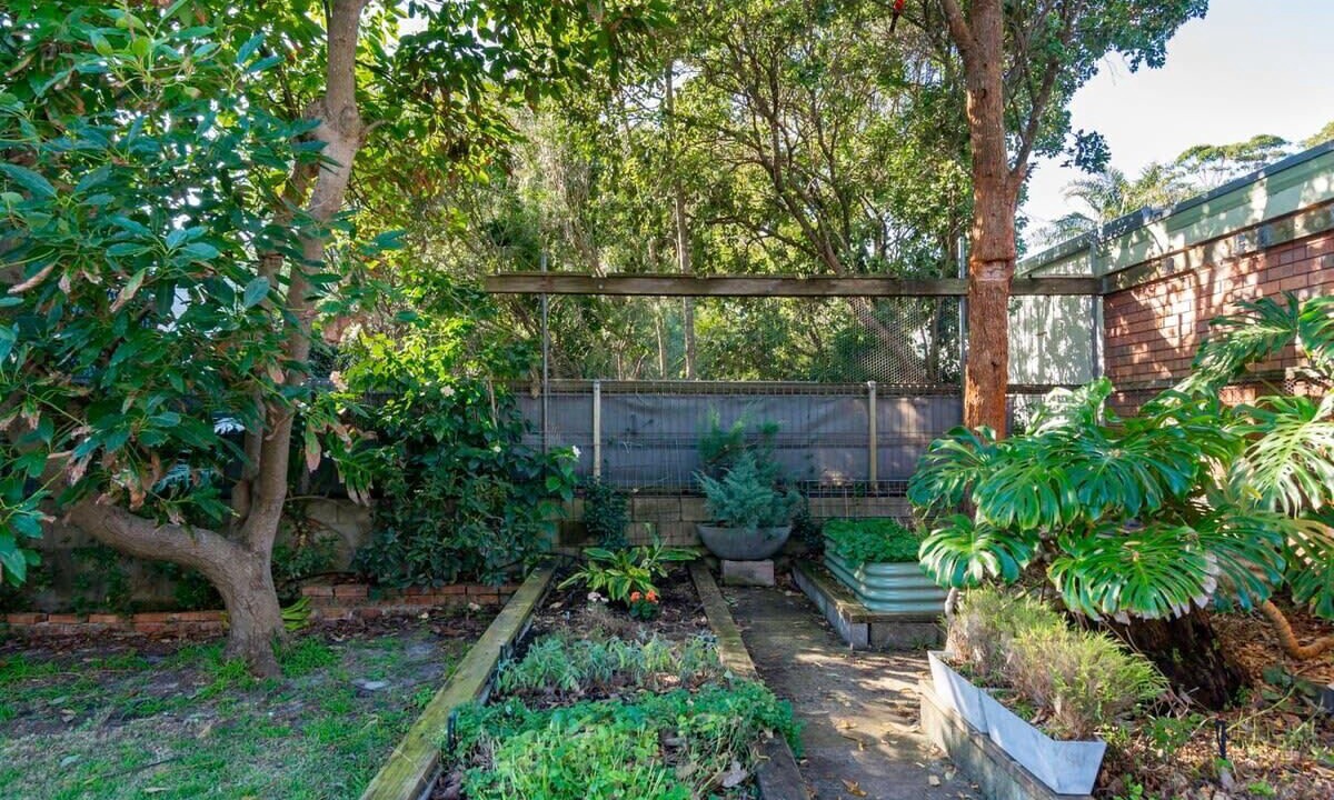 Photo of Outdoor in South Durras