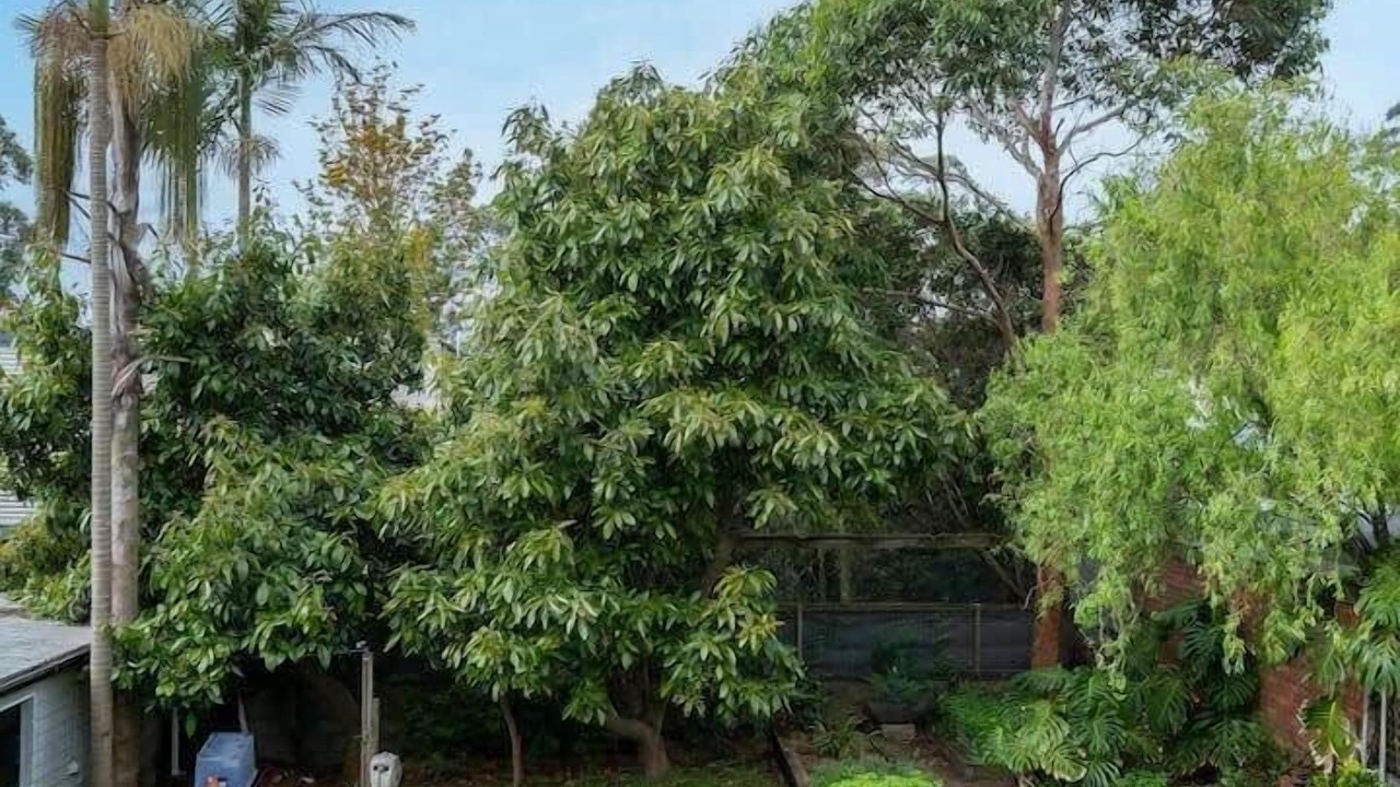 Photo of Outdoor in South Durras