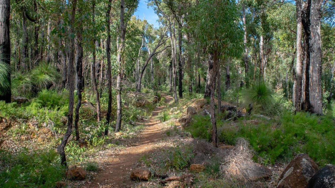 Photo of Outdoor in Byford
