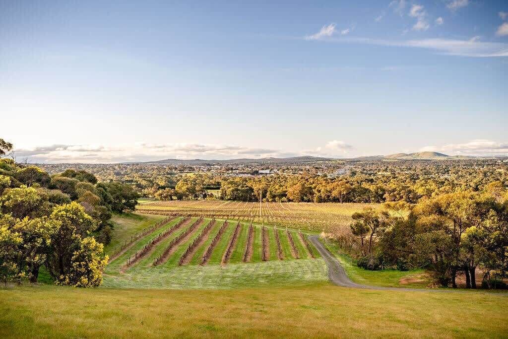 Photo of Outdoor in Ararat