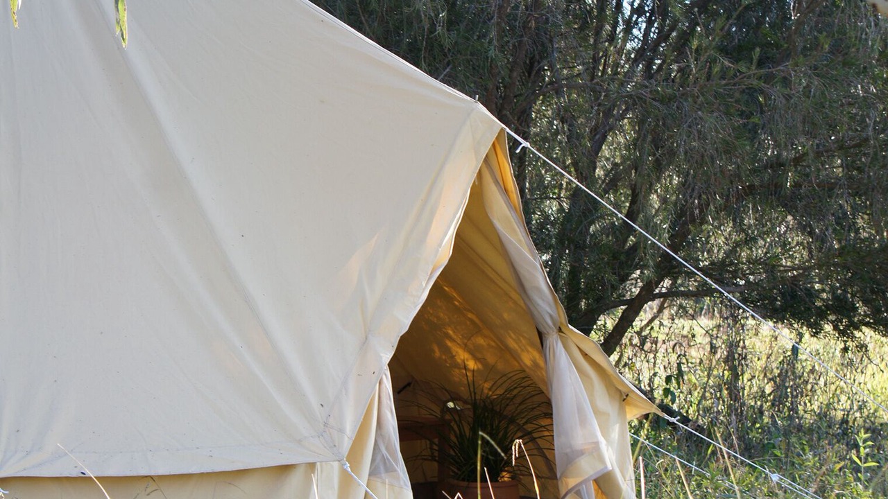 Photo of Outdoor in Canowindra
