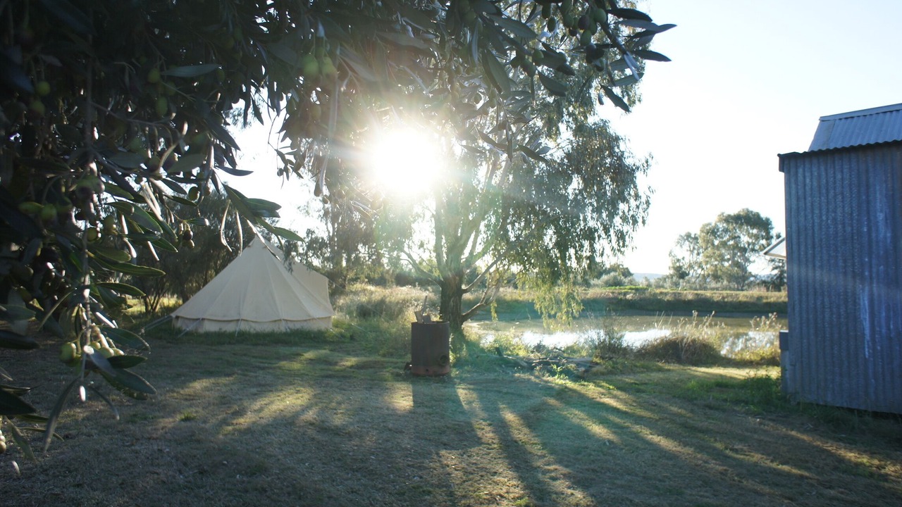 Photo of Outdoor in Canowindra