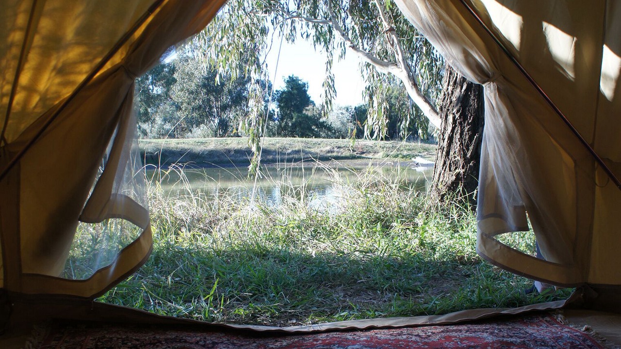 Photo of Others in Canowindra