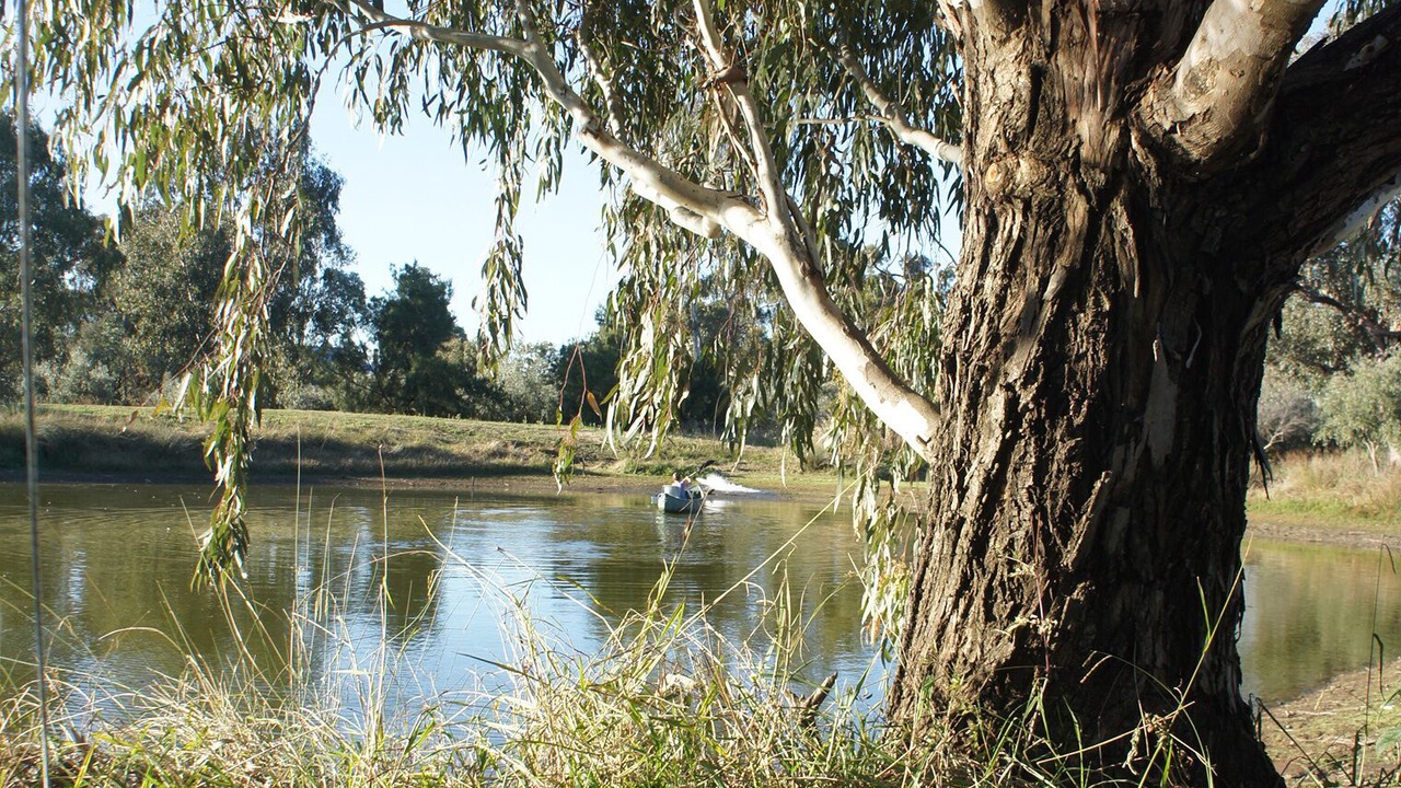 Photo of Outdoor in Canowindra