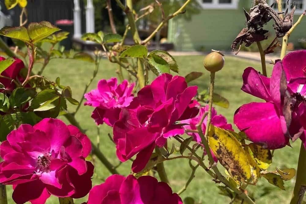 Photo of Outdoor in Uralla