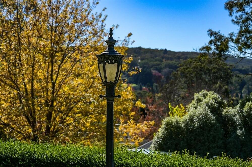 Photo of Others in Bowral
