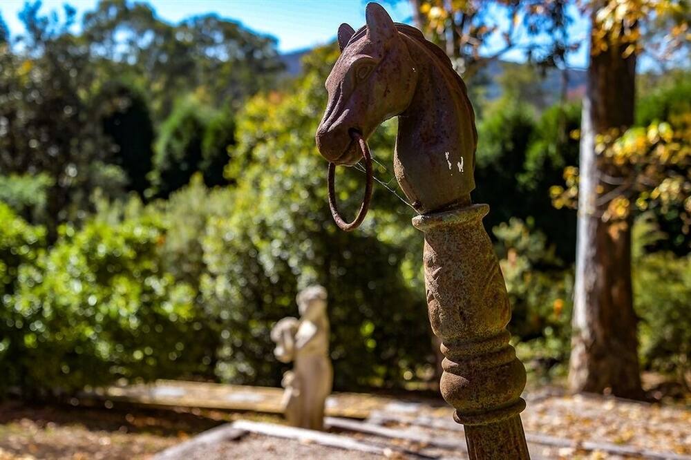 Photo of Others in Bowral
