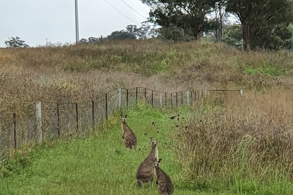 Photo of Others in Little Hartley