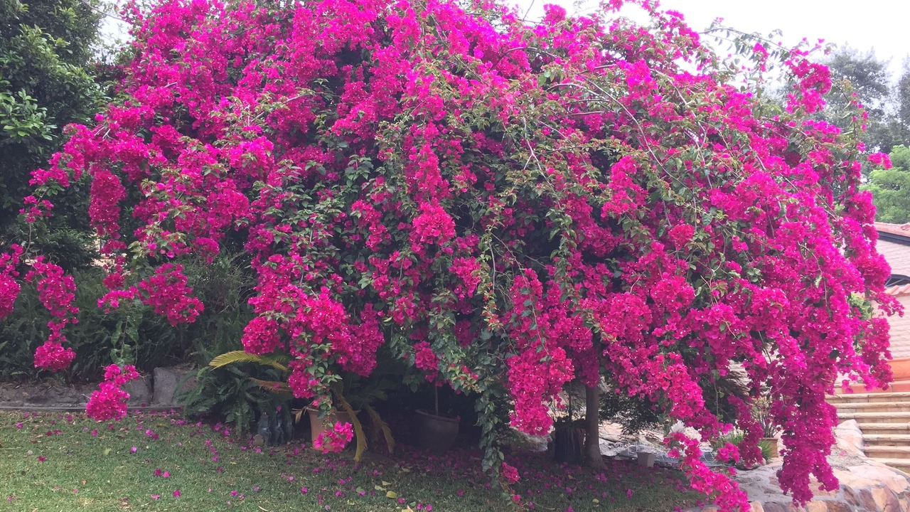 Photo of Outdoor in Mount Riverview