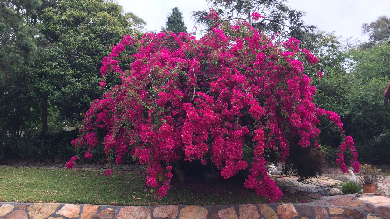 Photo of Outdoor in Mount Riverview