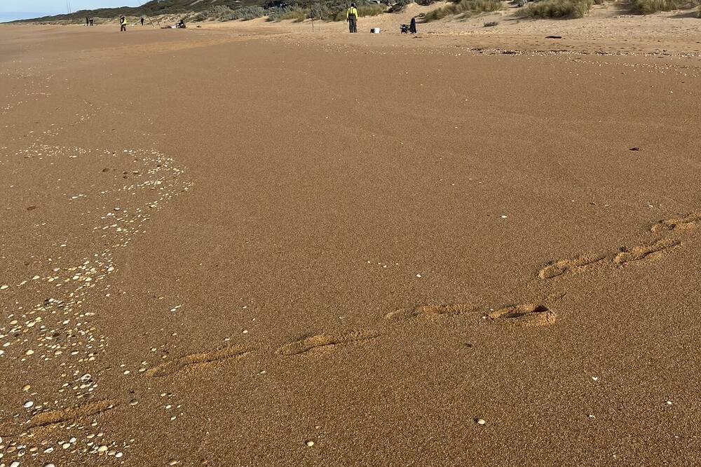Photo of Others in Golden Beach