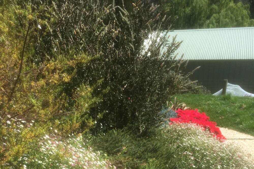 Photo of Outdoor in Bairnsdale