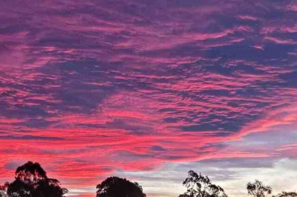Photo of Others in Bairnsdale
