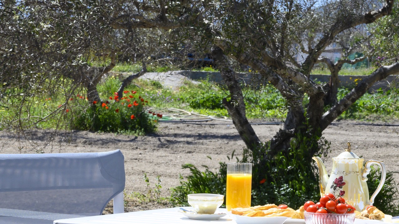 Photo of Outdoor in Adamas