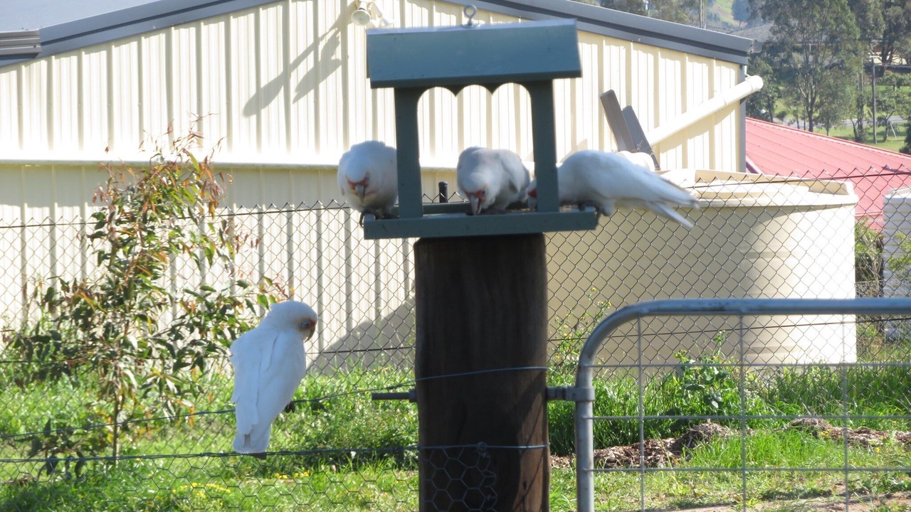 Photo of Outdoor in Louth Park
