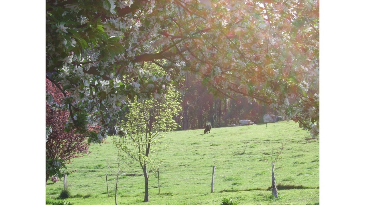 Photo of Outdoor in Myrrhee
