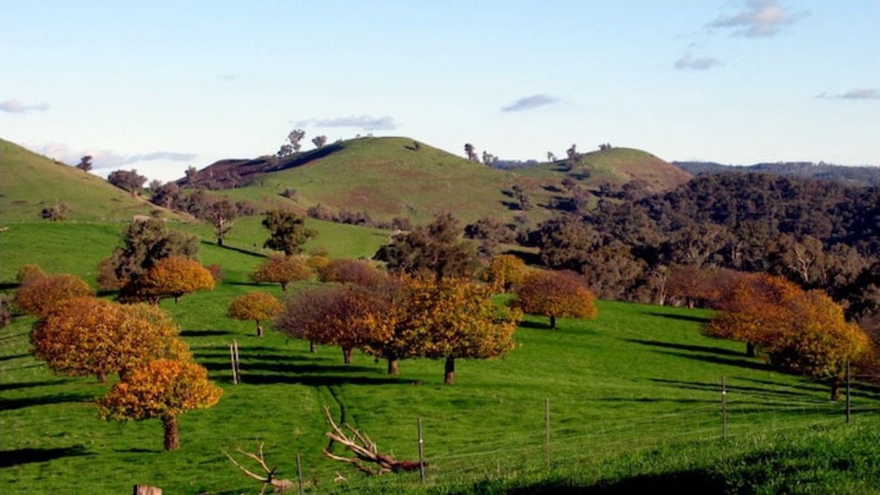 Photo of Outdoor in Myrrhee