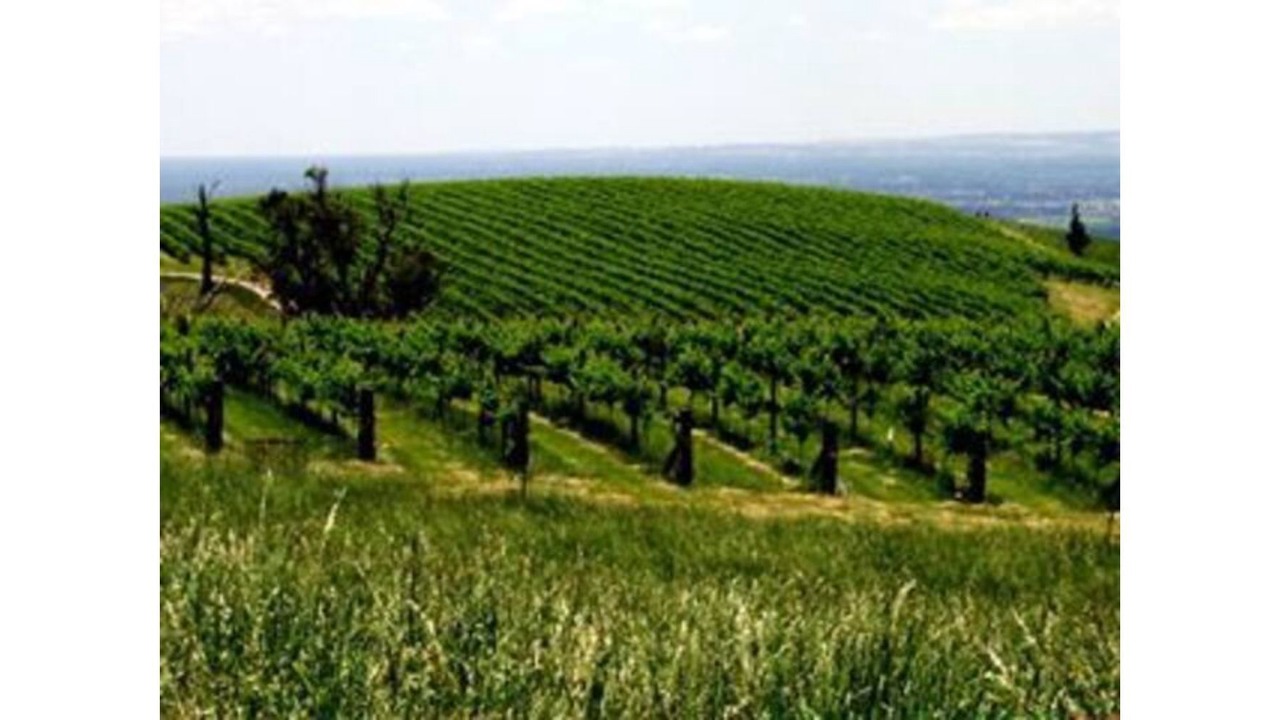 Photo of Outdoor in Myrrhee