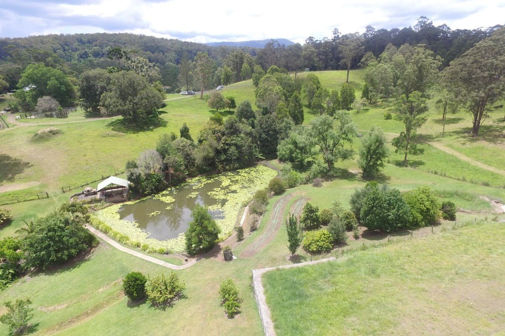 Photo of Outdoor in Lillian Rock