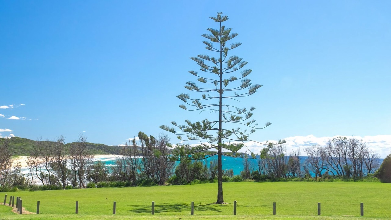 Photo of Outdoor in Dolphin Point