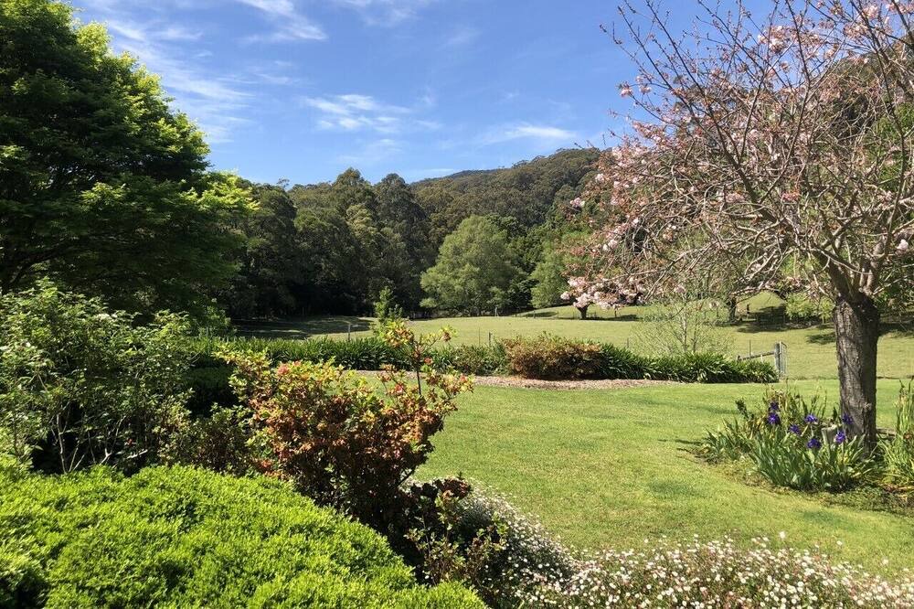 Photo of Outdoor in Budderoo