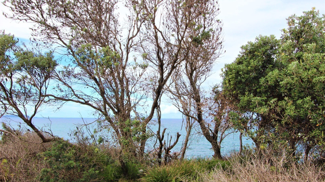 Photo of Outdoor in Crowdy Head