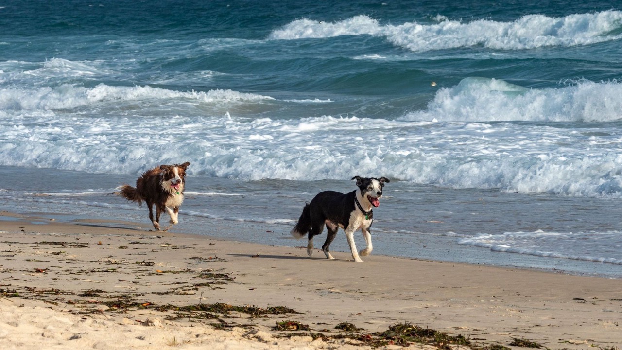Photo of Others in Point Lookout