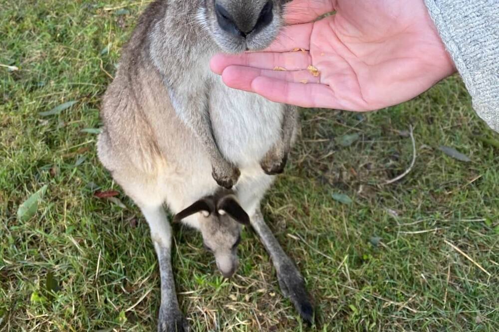 Photo of Others in Vacy